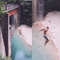 Jumping off a bridge in Japan